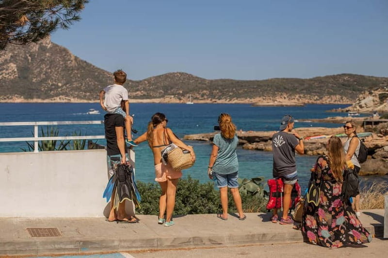 Kayak&Snorkel Tour - The Secret of the Posidonia - The Experience Provider: Keida Enjoy Mallorca