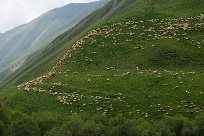 Kazbegi - One Day Private Trekking Tour to Truso Valley - Price and Logistics: Getting Good Value