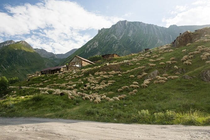 Kazbegi - One Day Private Trekking Tour to Truso Valley - Final thoughts: Who Is This Tour Best For?