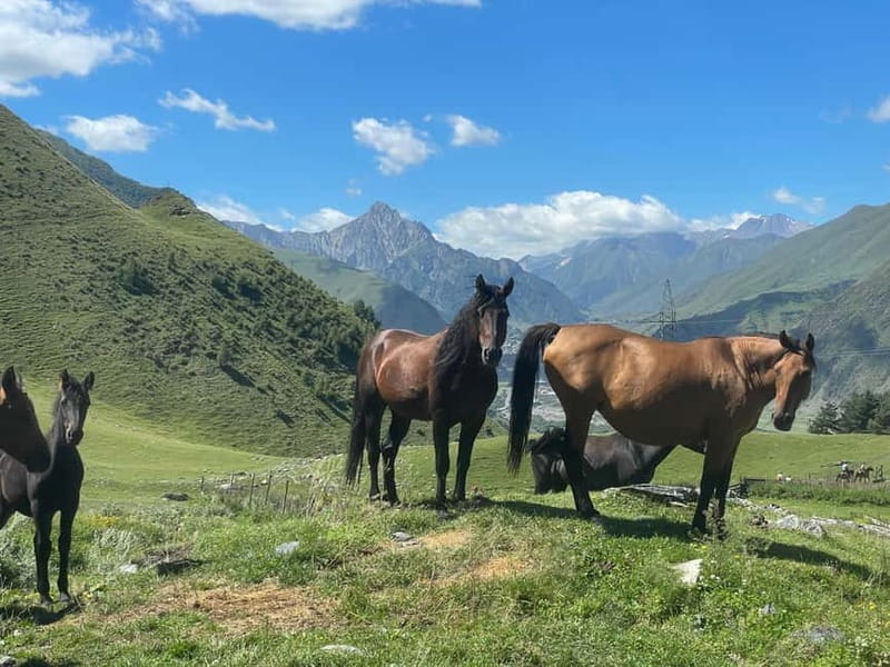 Kazbegi:Sunset Horse Riding Tour from Rooms Hotel Kazbegi - Key Points / Takeaways: