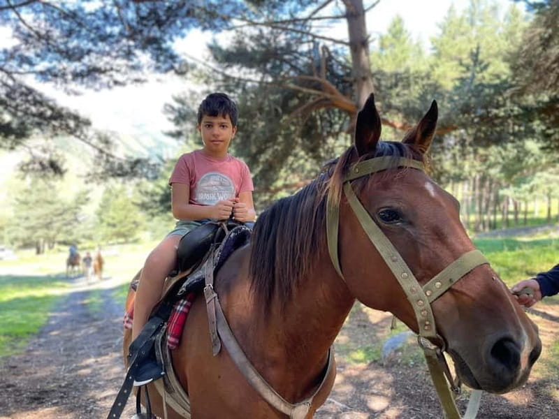 Kazbegi:Sunset Horse Riding Tour from Rooms Hotel Kazbegi - FAQ