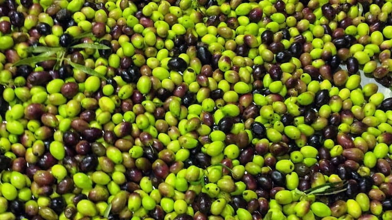 Kefalonia: Culinary and Cultural Guided Tour - Practical Tips for a Great Experience