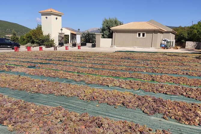 Kefalonia Half Day Private Tour & Shore Excursion - Private Transfer Details