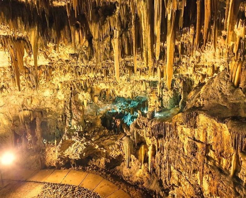 Kefalonia: Highlights Tour with Taste of Local Delights - Tasting Experience: Wine, Olive Oil, and Honey