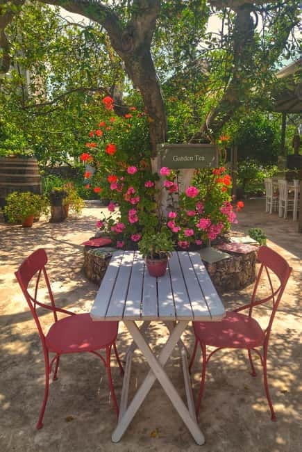 Kefalonia Tastes: Stroll Argostoli, Wine & Olive oil tasting - The Olive Oil Factory: A Deep Dive into Kefalonia’s Olive Heritage