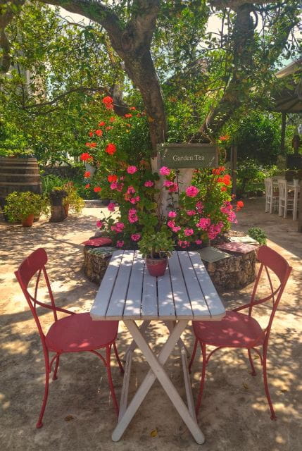 Kefalonia Tastes: Stroll Argostoli, Wine & Olive oil tasting - Returning and Reflection