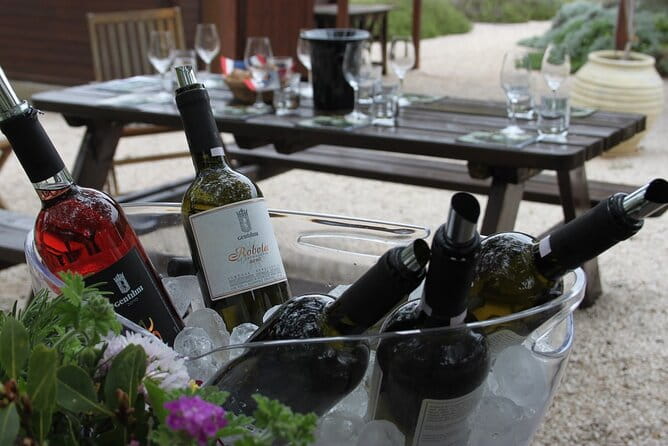 Kefalonia Wine Adventure in 3 Wineries With Tastings - Who Will Enjoy This Experience?