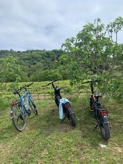 Kefalonia Wine Tour on E-Bikes - Experience Highlights