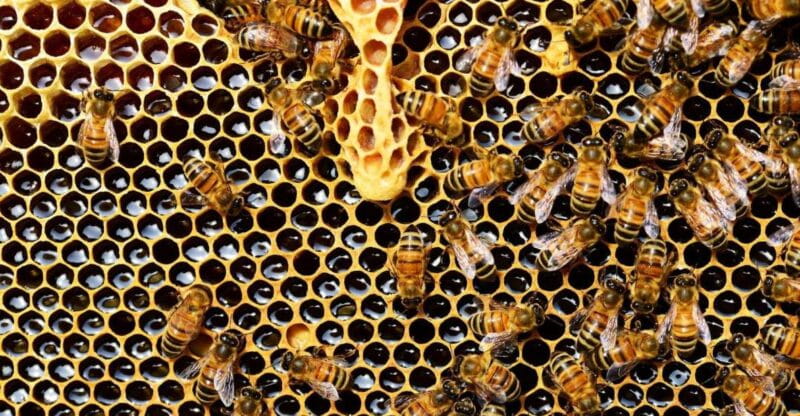 Kefalonia:Private Olive Oil, Honey & Wine Tasting Experience - Who Should Consider This Tour?