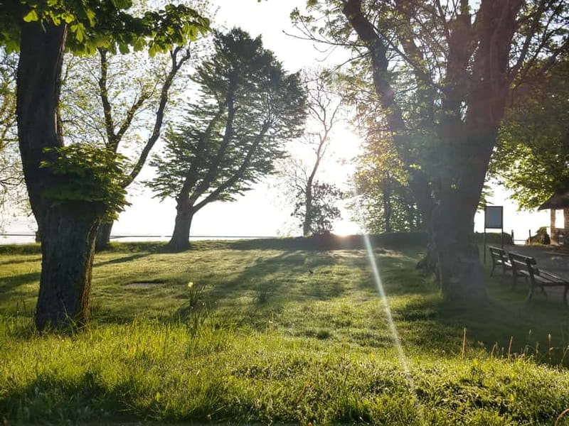 Keitum: Guided Village Walking Tour - Final Thoughts