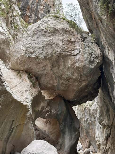 Kemer: Göynük Canyon Tour - Entering Göynük Canyon: A Natural Gateway