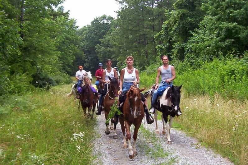 Kemer Horse Safari, pick up from Kiris, Beldibi, Goynuk - Discovering Kemer’s Horse Safari: An Authentic Adventure