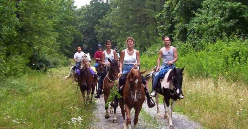 Kemer Horse Safari, pick up from Kiris, Beldibi, Goynuk - Who Will Love This Tour?