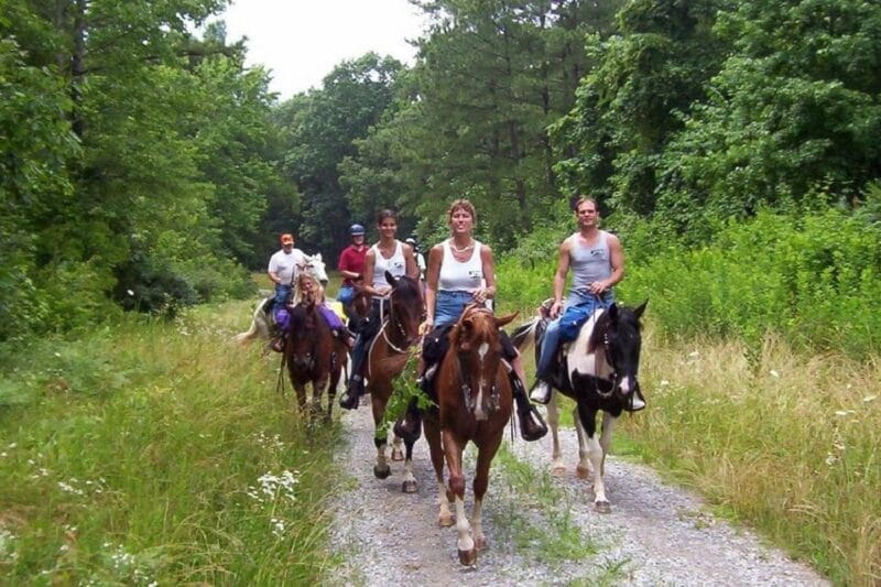Kemer Horse Safari, pick up from Kiris, Beldibi, Goynuk - Summary: Is It Worth It?