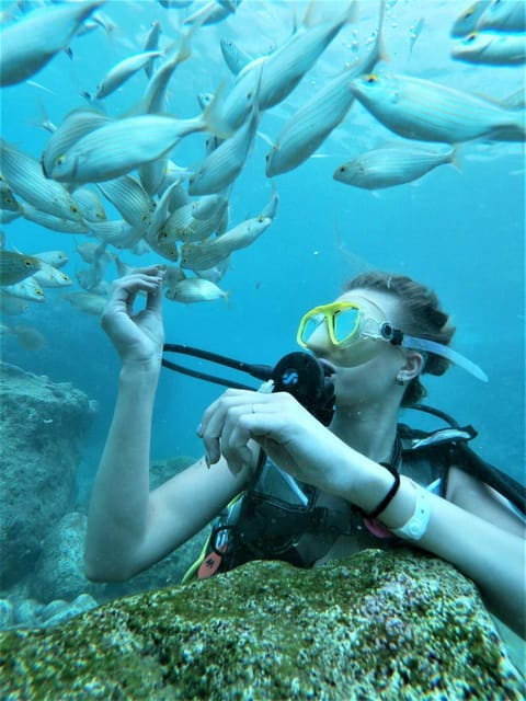 Kemer: Scuba Diving Experience in Aquarium and Kiris Bays - Entering the Med: What to Expect from Kemer’s Diving Tour