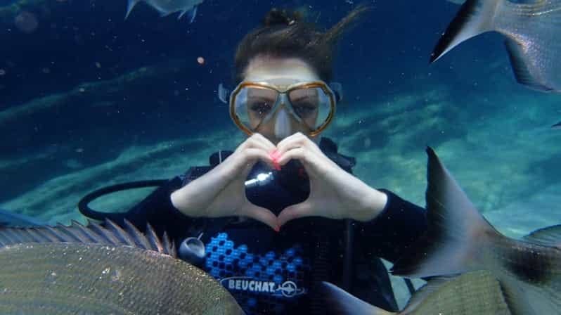 Kemer Scuba Diving - The Marine Environment and Marine Life Encounters