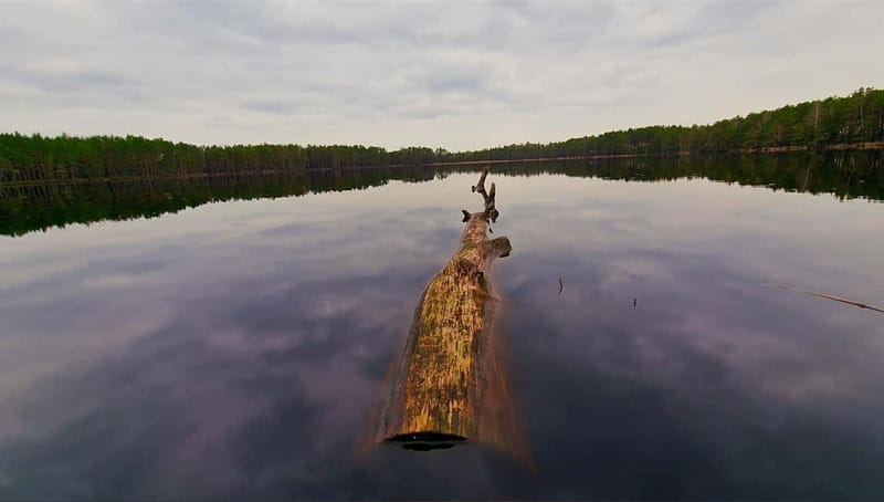 Kemeri N Park, Jurmala, Lake Melnezers & White Castle Hotel - FAQ