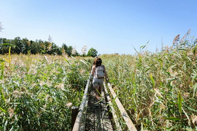 Kemeri National Park & Baltic Seaside Tour Bog Boardwalk - Visiting the Sulfur Spring and the Fishing Village