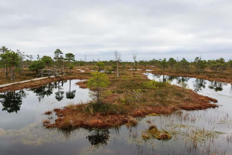 Kemeri National Park & Baltic Seaside Tour Bog Boardwalk - Practical Details and Logistics
