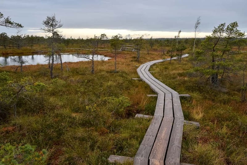Kemeri National Park & Baltic Seaside Tour Bog Boardwalk - FAQ