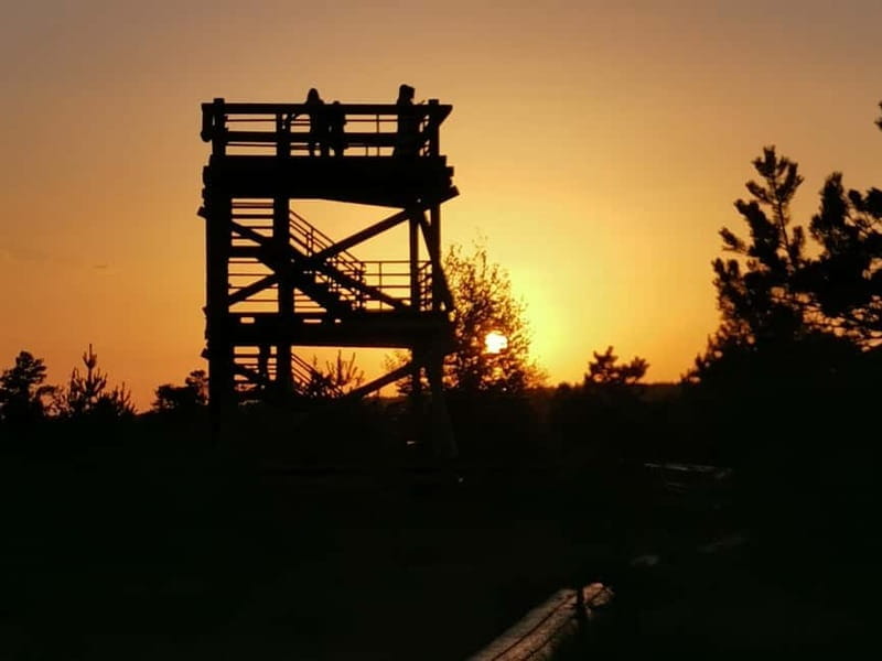 Kemeri National Park Bog Trail near Riga - Price and Value