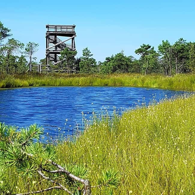 Kemeri National Park Bog Trail near Riga - Who Should Consider This Tour