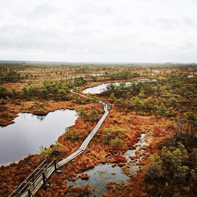Kemeri National Park Bog Trail near Riga - FAQ