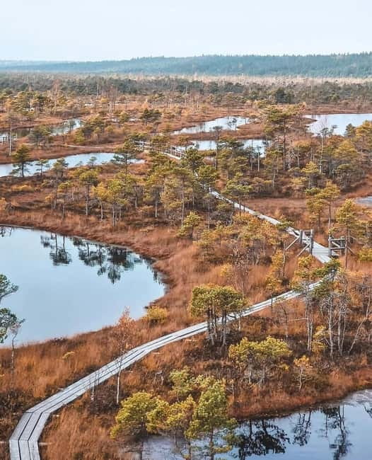 Kemeri National Park Guided Tour - Starting with Ease: Convenient Transport from Riga