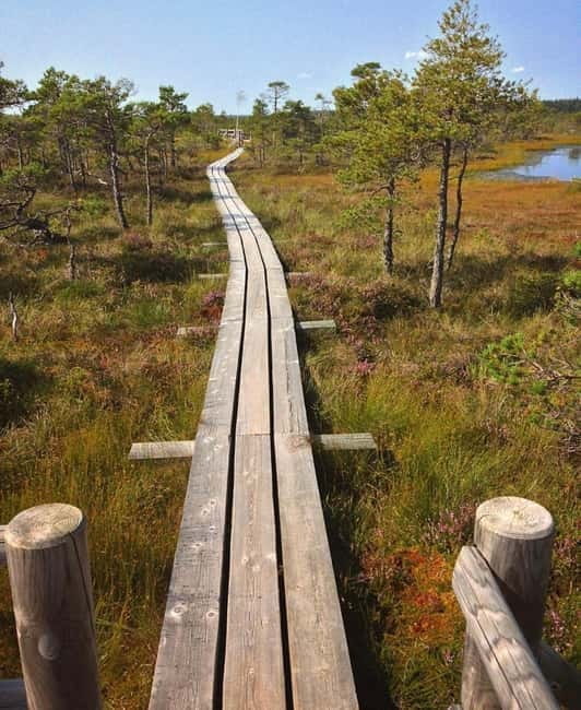 Kemeri National Park Guided Tour - The Kemeri Bog Boardwalk: A Must-See Panorama