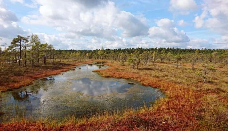 Kemeri National Park Guided Tour - Relaxing by the Lakes and Final Reflection