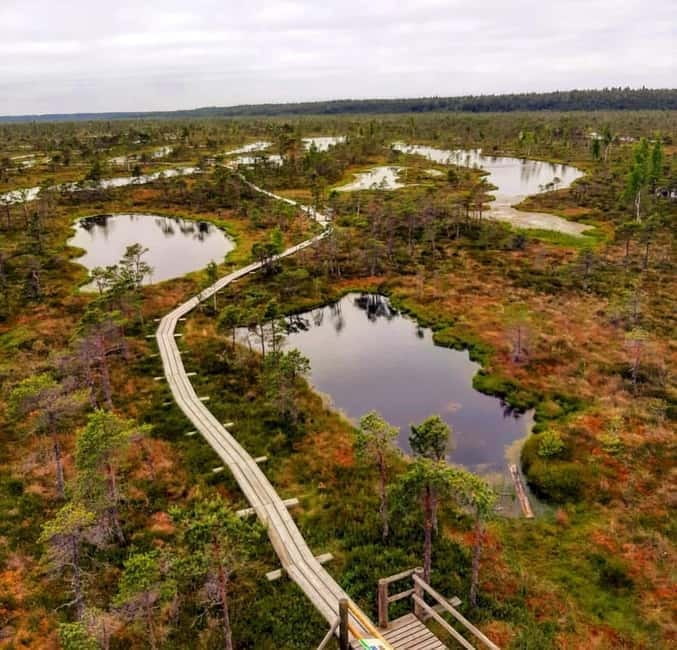 Kemeri National Park Guided Tour - Who Will Benefit Most from This Experience?