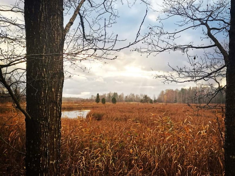 Kemeri National Park Outdoor Tour - Key points / Takeaways