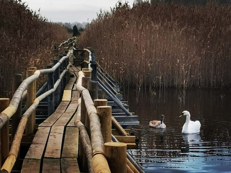 Kemeri National Park Outdoor Tour - What the Kemeri National Park Tour Offers