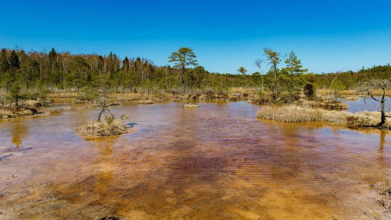 Kemeri National Park Outdoor Tour - What to Expect at Each Stop