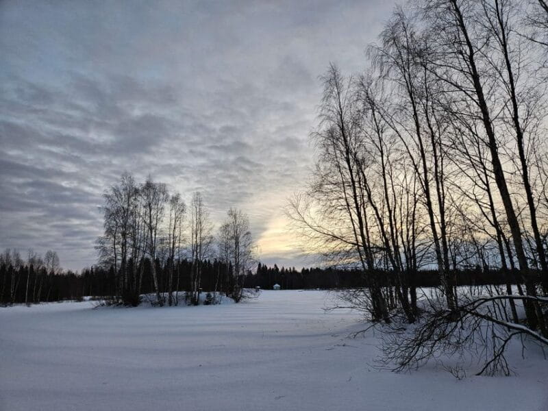 Kemi: Finnish Sight-Skiing Experience in Lapland - Who Is This Tour Best For?