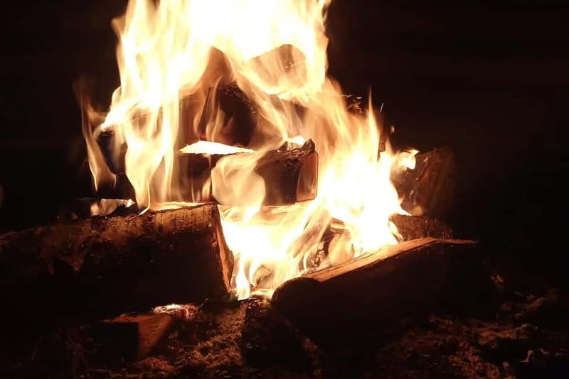 Kemi-Tornio: Evening campfire on the island - Logistics, Value, and Practical Tips