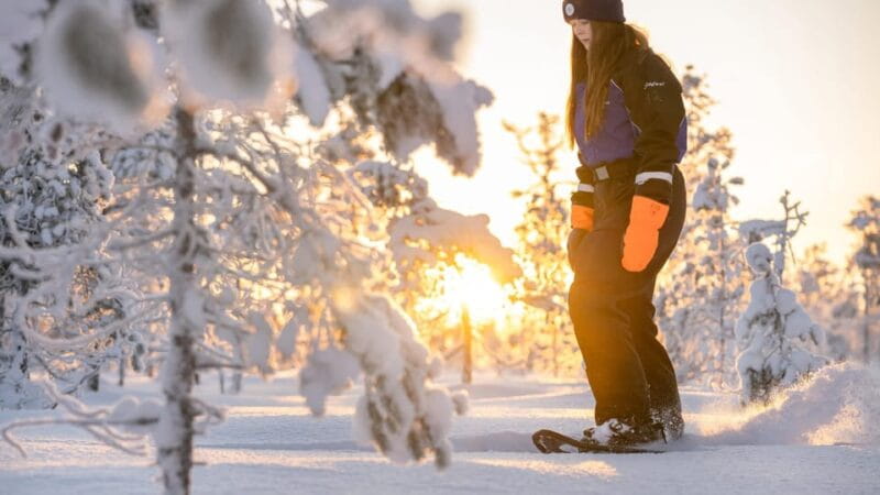 Kemi-Tornio: Nature tour with snowshoes - Entering the Arctic Wilderness