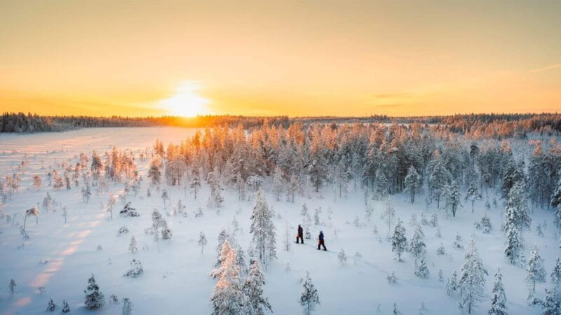 Kemi-Tornio: Nature tour with snowshoes - Warming Up in a Lappish Hut