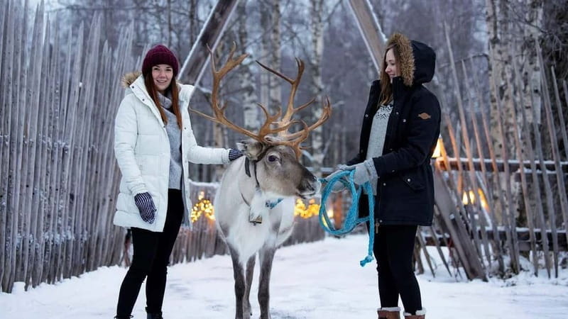 Kemi-Tornio: Reindeer farm experience - Entering the Arctic: A Detailed Look at the Reindeer Farm Experience