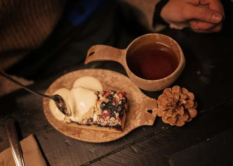 Kemi-Tornio: Reindeer farm experience - Final Thoughts: Who Should Sign Up?