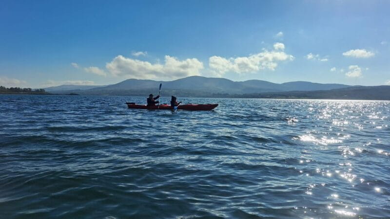 Kenmare Bay: Guided Kayaking Tour - No Wetsuits Required. - Who Will Love This Tour?