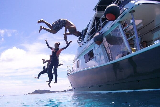 Kerama Islands Experience Dive/Snorkeling/Whale Watching Service - Diving Experiences