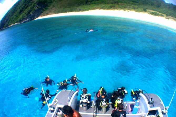 Kerama Islands Experience Dive/Snorkeling/Whale Watching Service - Snorkeling Experiences
