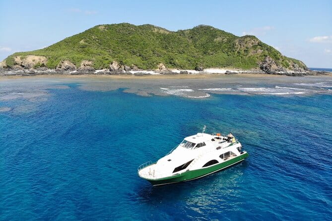 Kerama Islands Experience Dive/Snorkeling/Whale Watching Service - Whale Watching Experiences