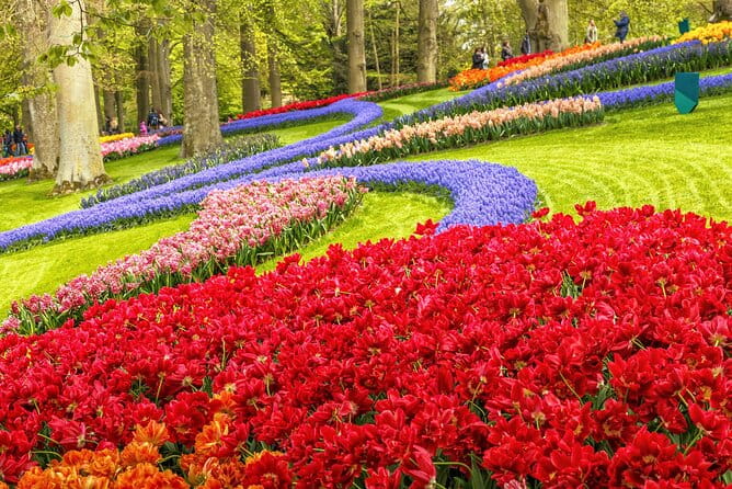 Keukenhof Tulip Garden Tour - The Drive Through the Flower Bulb Region