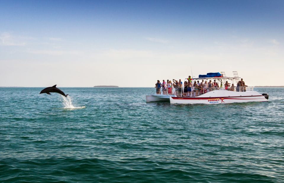 Key West: Dolphin Watching and Snorkeling Sunset Cruise - Dolphin Sightings and Exploration