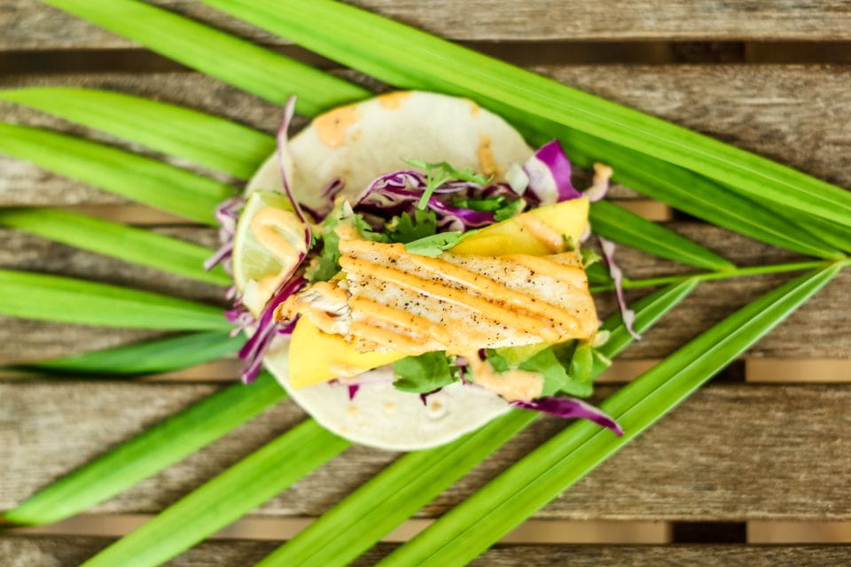 Key West: Food Tasting and Cultural Walking Tour - Experience Highlights