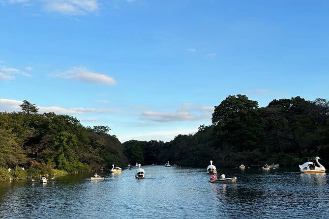 Kichijoji International Anime Film Festival and Guided Town Tour - Health and Accessibility