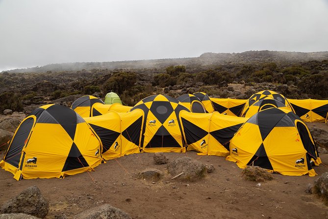 Kilimanjaro Climb, Lemosho Route (6-Day) - Meal Options and Dietary Needs