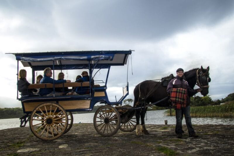 Killarney: 1-Hour Jaunting Car Horse and Carriage Tour - An Introduction to the Jaunting Car Experience